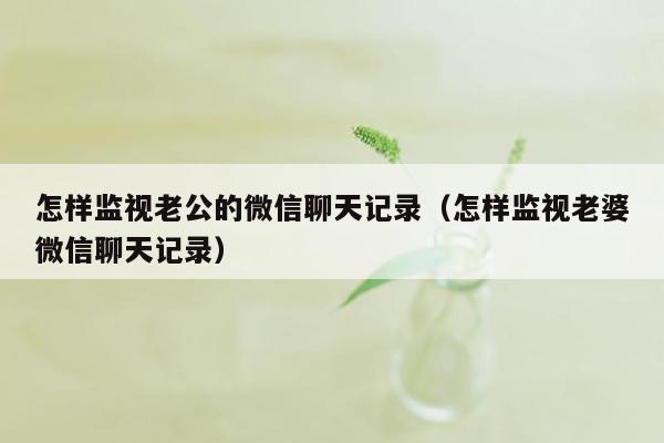 怎样监视老公的微信聊天记录（怎样监视老婆微信聊天记录）