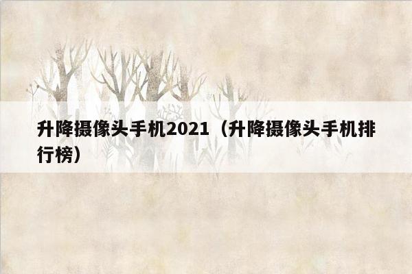 升降摄像头手机2021（升降摄像头手机排行榜）