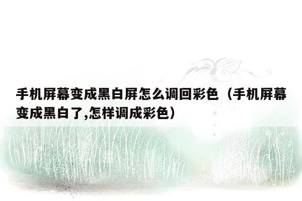 手机屏幕变成黑白屏怎么调回彩色（手机屏幕变成黑白了,怎样调成彩色）