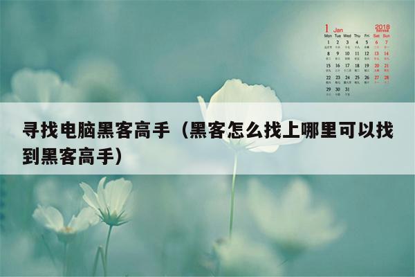 寻找电脑黑客高手（黑客怎么找上哪里可以找到黑客高手）