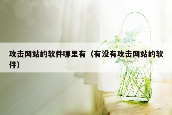 攻击网站的软件哪里有（有没有攻击网站的软件）