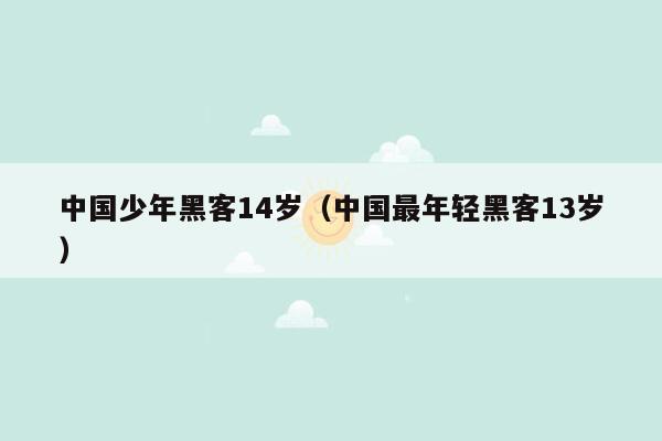 中国少年黑客14岁（中国最年轻黑客13岁）