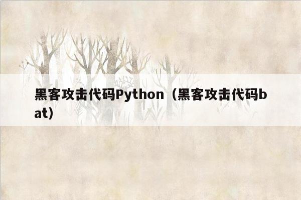 黑客攻击代码Python（黑客攻击代码bat）