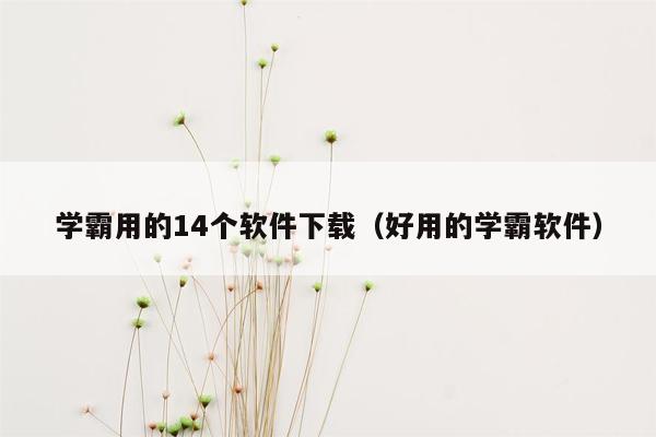 学霸用的14个软件下载（好用的学霸软件）