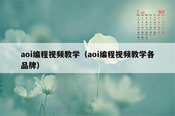 aoi编程视频教学（aoi编程视频教学各品牌）