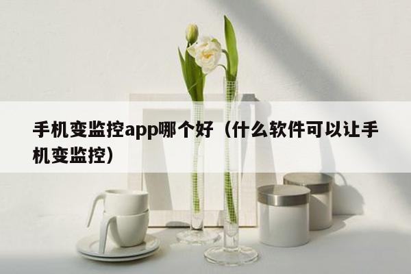 手机变监控app哪个好（什么软件可以让手机变监控）