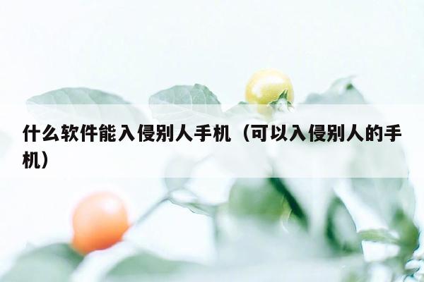 什么软件能入侵别人手机（可以入侵别人的手机）