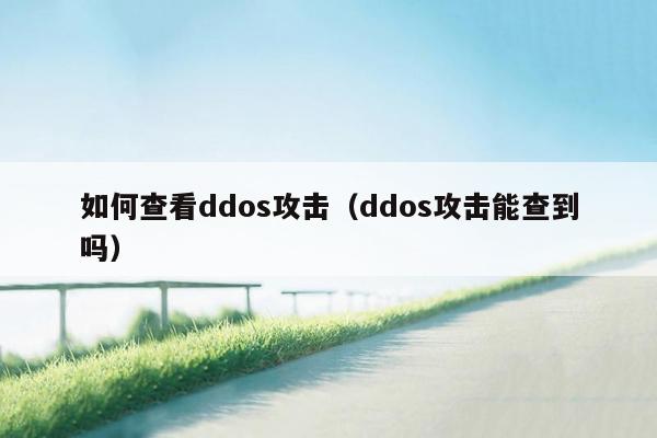 如何查看ddos攻击（ddos攻击能查到吗）