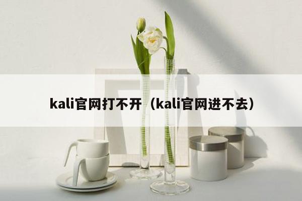 kali官网打不开（kali官网进不去）