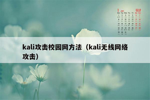 kali攻击校园网方法（kali无线网络攻击）