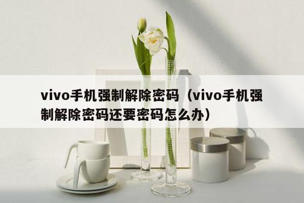 vivo手机强制解除密码（vivo手机强制解除密码还要密码怎么办）