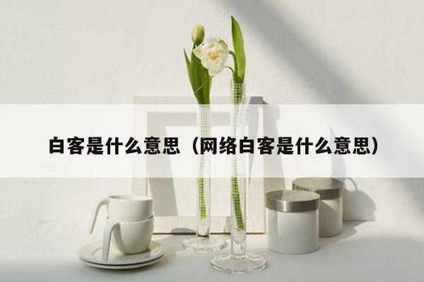 白客是什么意思（网络白客是什么意思）