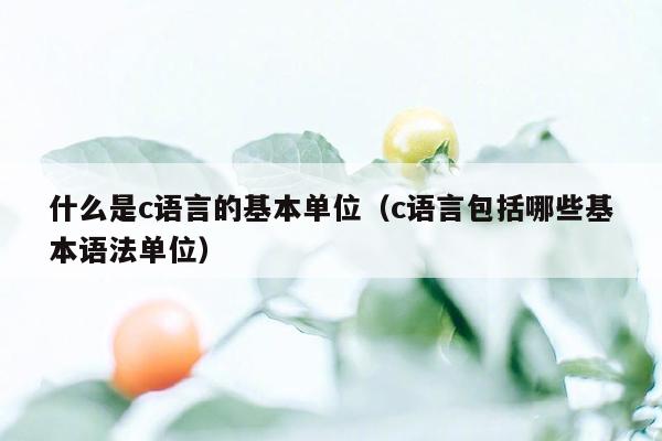 什么是c语言的基本单位（c语言包括哪些基本语法单位）