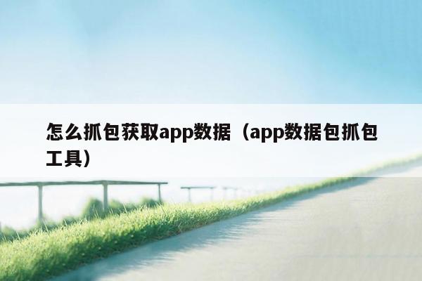 怎么抓包获取app数据（app数据包抓包工具）