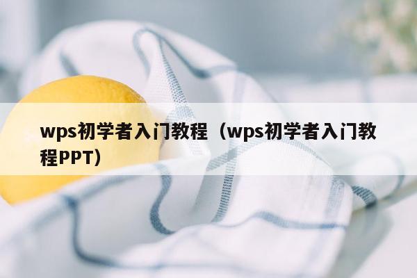 wps初学者入门教程（wps初学者入门教程PPT）