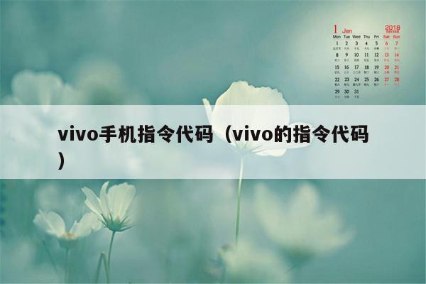 vivo手机指令代码（vivo的指令代码）