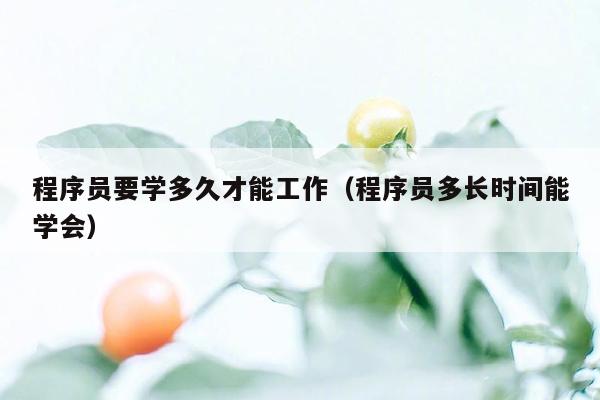 程序员要学多久才能工作（程序员多长时间能学会）