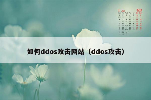 如何ddos攻击网站（ddos攻击）