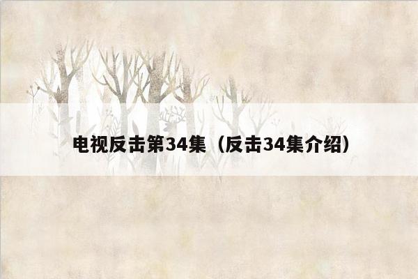 电视反击第34集（反击34集介绍）