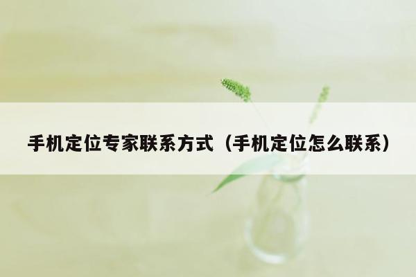 手机定位专家联系方式（手机定位怎么联系）