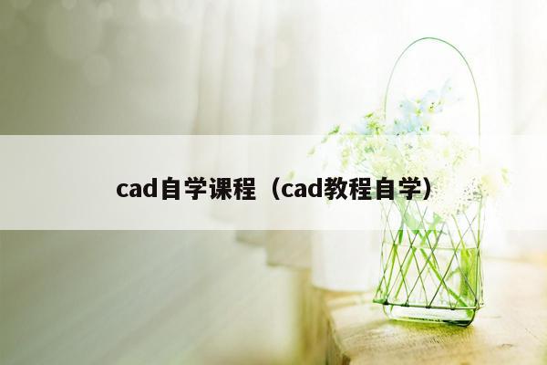 cad自学课程（cad教程自学）