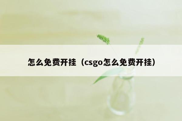 怎么免费开挂（csgo怎么免费开挂）