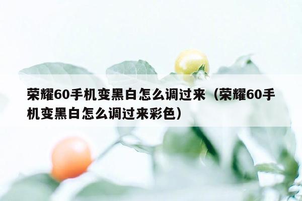 荣耀60手机变黑白怎么调过来（荣耀60手机变黑白怎么调过来彩色）