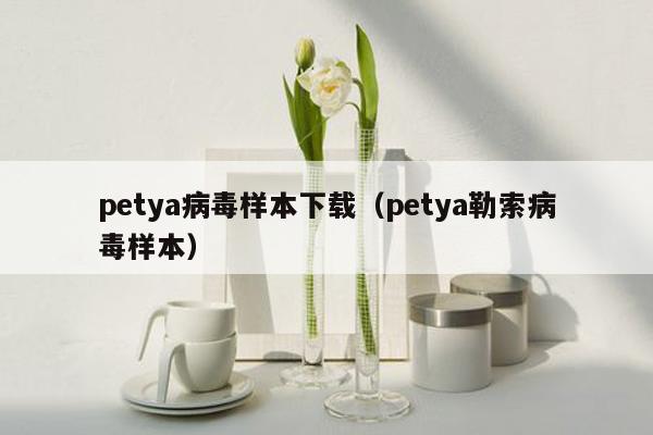 petya病毒样本下载（petya勒索病毒样本）