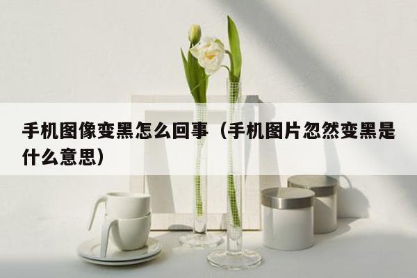 手机图像变黑怎么回事（手机图片忽然变黑是什么意思）