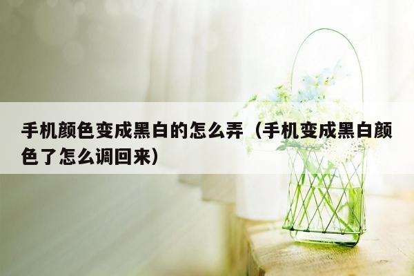 手机颜色变成黑白的怎么弄（手机变成黑白颜色了怎么调回来）