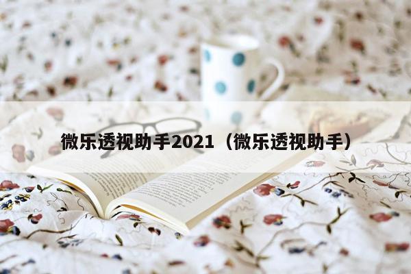 微乐透视助手2021（微乐透视助手）