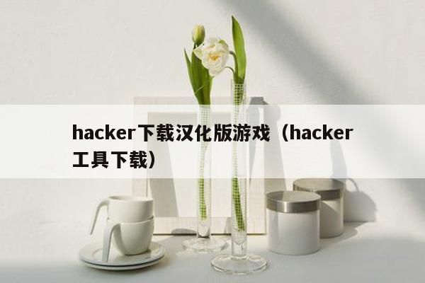 hacker下载汉化版游戏（hacker工具下载）