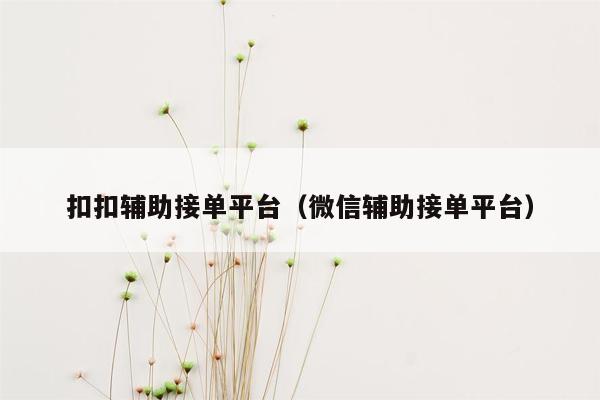 扣扣辅助接单平台（微信辅助接单平台）