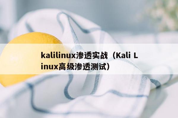 kalilinux渗透实战（Kali Linux高级渗透测试）