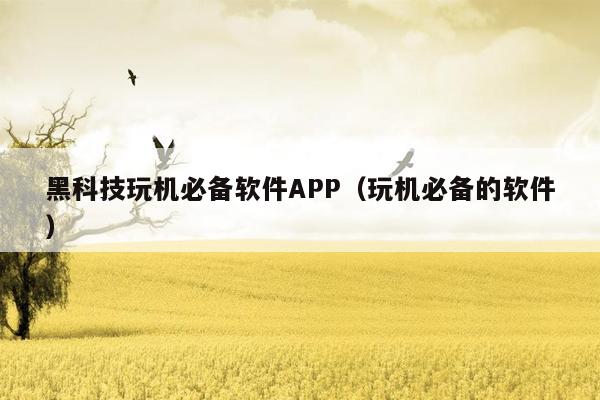 黑科技玩机必备软件APP（玩机必备的软件）