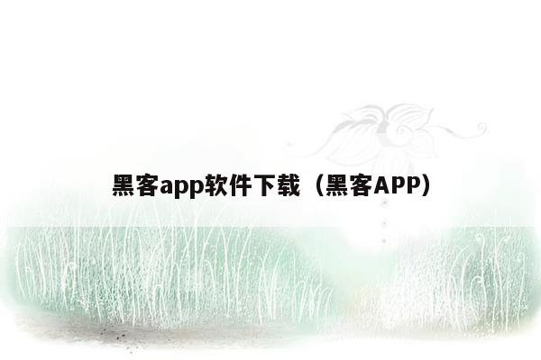 黑客app软件下载（黑客APP）