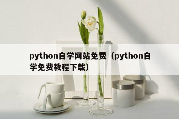 python自学网站免费（python自学免费教程下载）