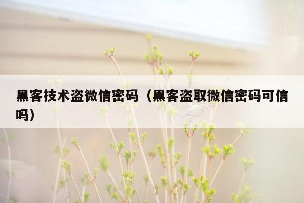 黑客技术盗微信密码（黑客盗取微信密码可信吗）