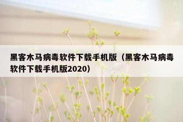 黑客木马病毒软件下载手机版（黑客木马病毒软件下载手机版2020）