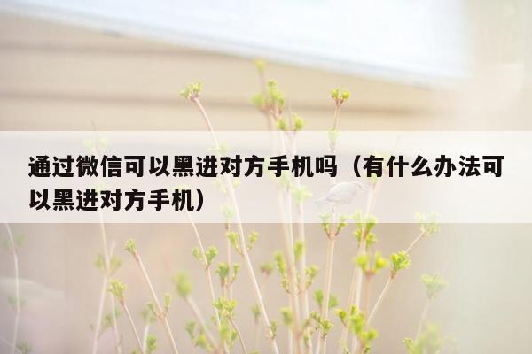 通过微信可以黑进对方手机吗（有什么办法可以黑进对方手机）