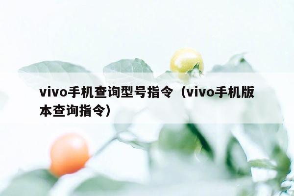 vivo手机查询型号指令（vivo手机版本查询指令）