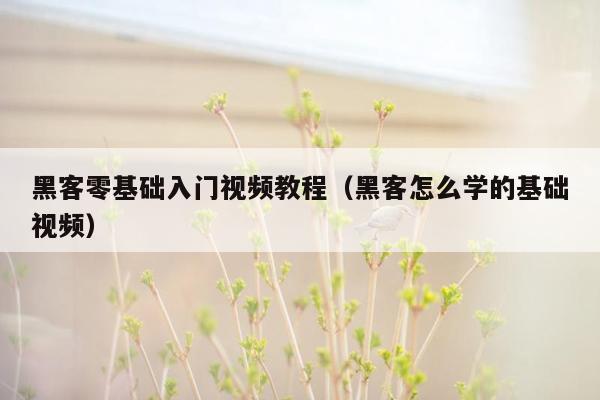 黑客零基础入门视频教程（黑客怎么学的基础视频）