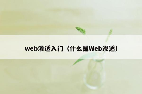 web渗透入门（什么是Web渗透）