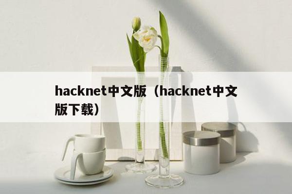 hacknet中文版（hacknet中文版下载）