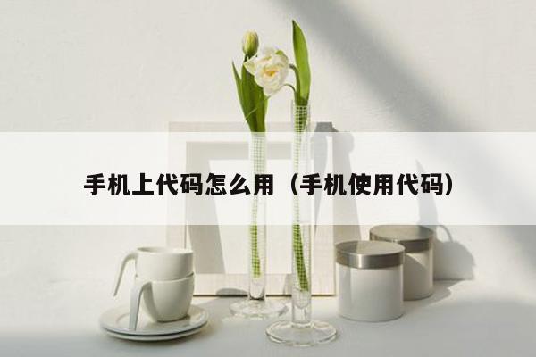 手机上代码怎么用（手机使用代码）