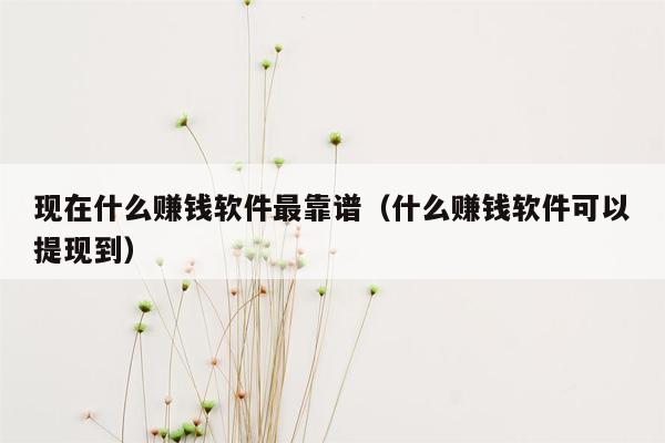 现在什么赚钱软件最靠谱（什么赚钱软件可以提现到）