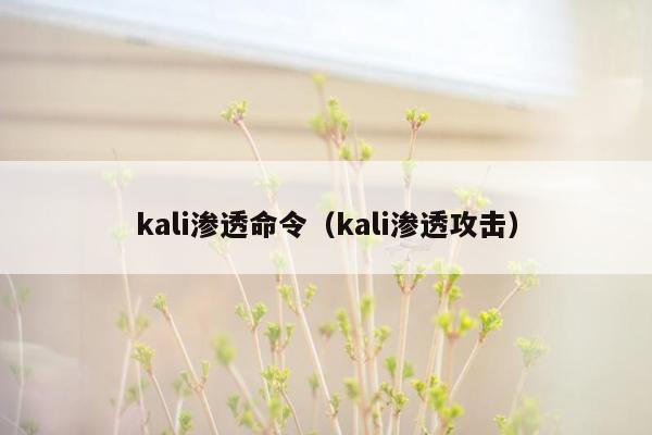 kali渗透命令（kali渗透攻击）