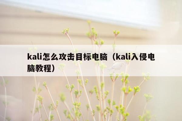 kali怎么攻击目标电脑（kali入侵电脑教程）