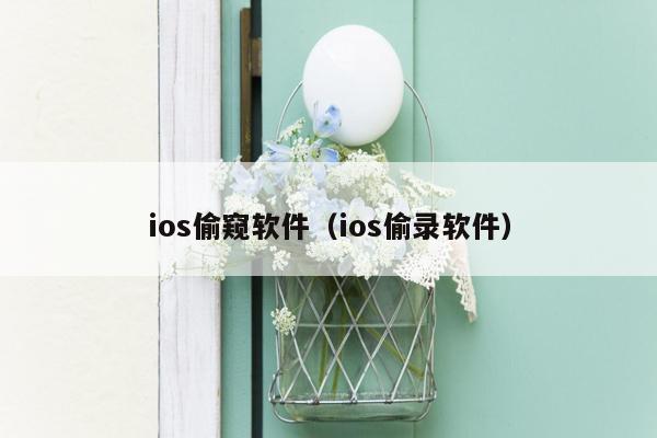 ios偷窥软件（ios偷录软件）