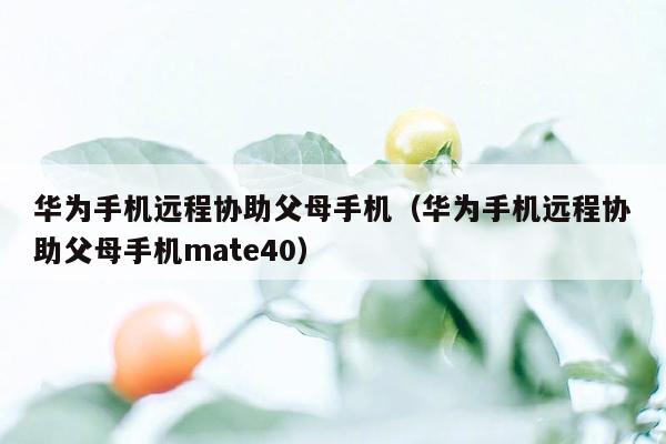 华为手机远程协助父母手机（华为手机远程协助父母手机mate40）